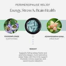 Load image into Gallery viewer, Reboot