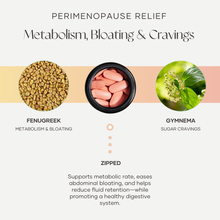 Load image into Gallery viewer, Trim Down Zip Up
